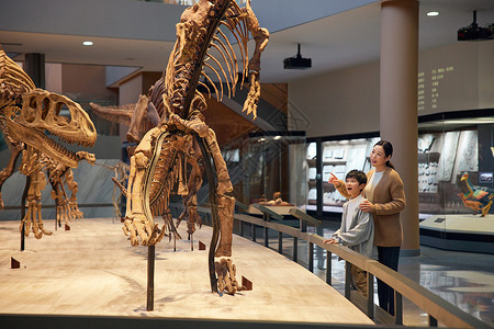 恐龙科普素材母子参观恐龙化石背景