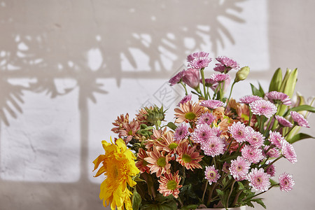 感恩客人素材光影背景花束鲜花背景