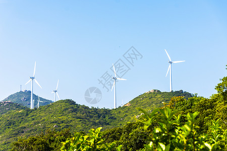 低碳树木风力发电机风车背景