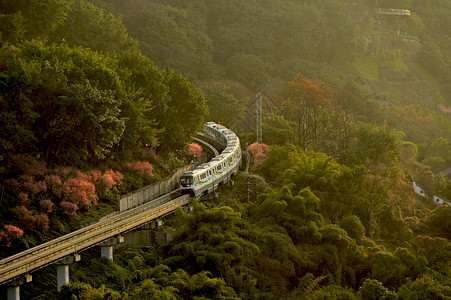 重庆6号线夕阳下穿梭在山间的列车轻轨背景
