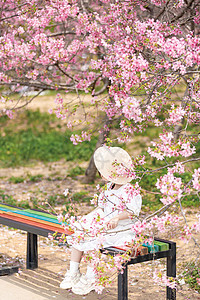 春游赏花樱花树下的小女孩背景