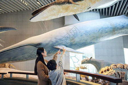 生物学习博物馆看史前生物模型的母子背景