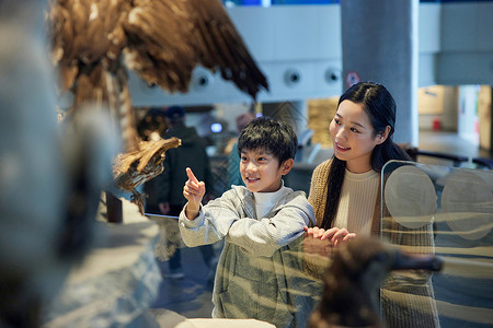 鸟化石母子参观博物馆背景