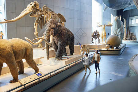 扮恐龙男孩母亲和儿子走在博物馆里背景