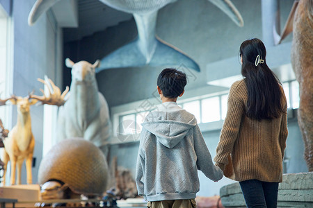 参观展厅母亲和儿子在博物馆背影背景