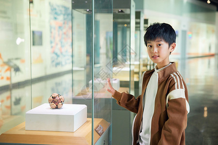 小学生在博物馆观察标本图片