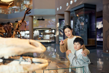 动物学生博物馆里母亲手指恐龙化石背景