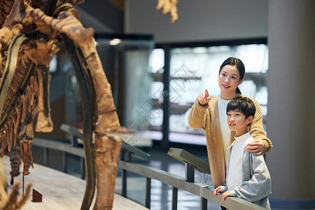 博物馆里母子两人看恐龙化石图片