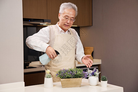 健康养护居家休闲老年人养护植物背景