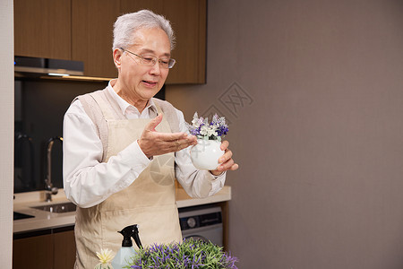 健康养护居家休闲老年人养护植物背景