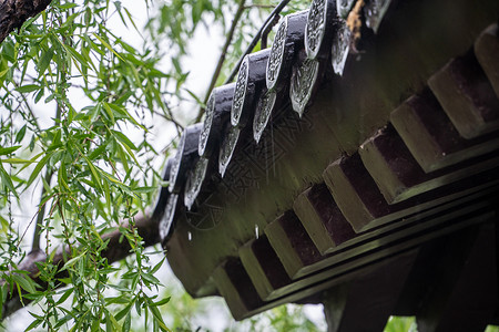 春雨下的古建筑背景图片