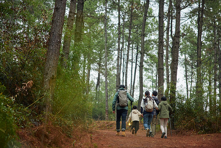 小孩户外运动一家五口森林徒步旅行背影背景