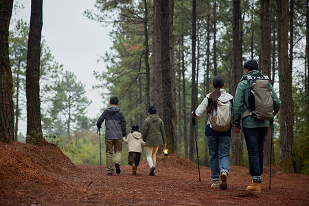 森林家庭一家五口徒步旅行背影背景