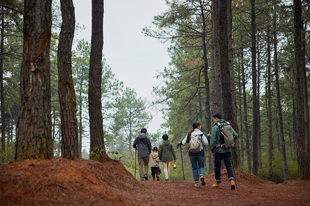 步行锻炼大家庭树林中徒步背影背景