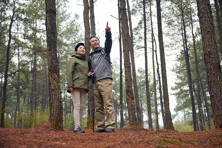 老年夫妇树林徒步看风景图片