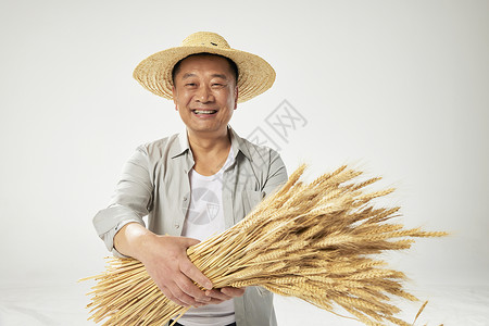 劳动节农民伯伯抱着小麦的农民伯伯背景