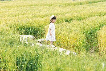 小满成熟麦田麦田中的儿童背景