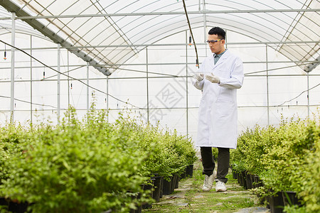 种植区手拿透明平板的农业科研人员背景