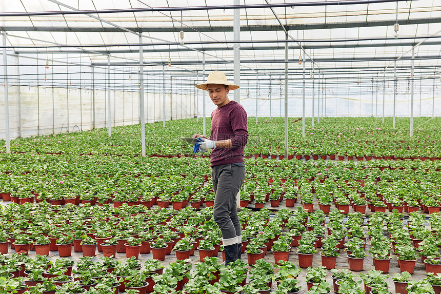 植物养殖基地查看幼苗的花农图片