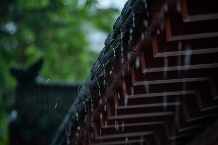 古典谷雨字体春雨下的古建筑背景