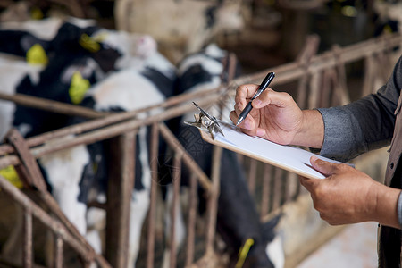 动物记录农场养殖户手拿书写板做记录背景