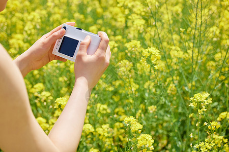 使用相机拍照的韩系女孩使用相机拍摄油菜花海特写背景