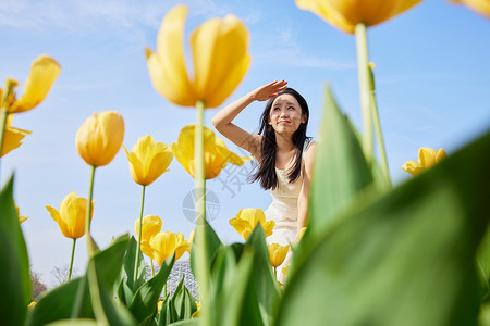 水仙花美女清新夏日蓝天郁金香花海的美女背景