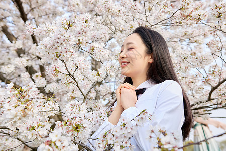 植物写真青春樱花少女写真背景