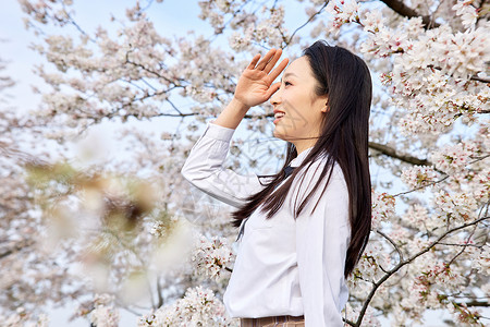 眼睛日促销青春樱花少女写真背景