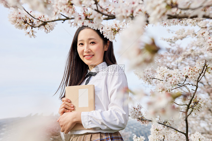 樱花树下年轻女性看书图片