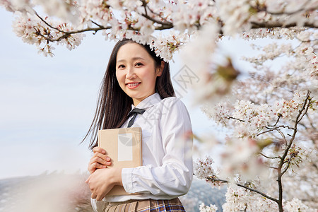 梦幻樱花樱花树下年轻女性看书背景