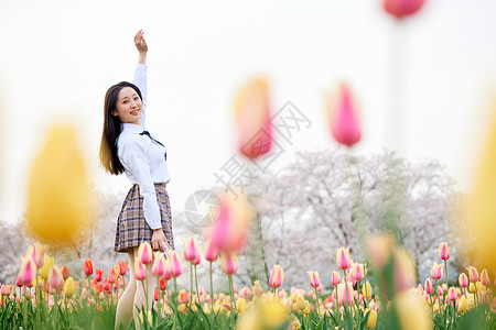 水仙花美女文艺少女站在郁金香花丛中背景