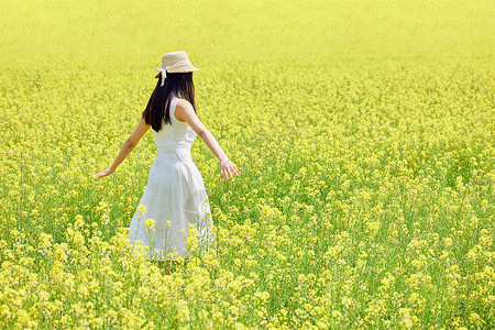 春景素材油菜花田中行走的少女背影背景
