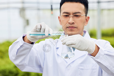 种植区研究员采集植物样本背景