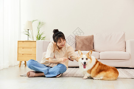 宠物柯基犬和主人开心玩耍高清图片