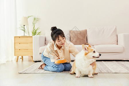 吃狗粮的女孩宠物犬拒接吃狗粮背景