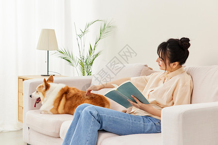 看书的动物客厅里看书的青年女性抚摸宠物柯基背景