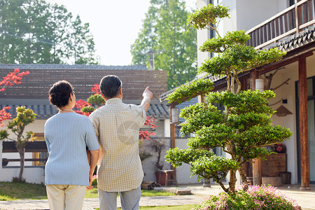 院子老人老年夫妻户外院子散步背影背景