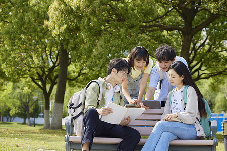 年轻大学生校园交流学习背景图片