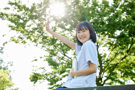 阳光下看书的女学生高清图片