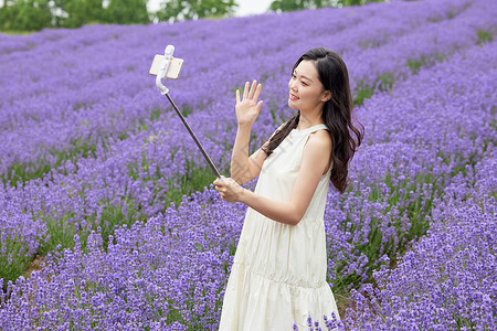 薰衣草花田里拿着自拍杆的女性背景图片