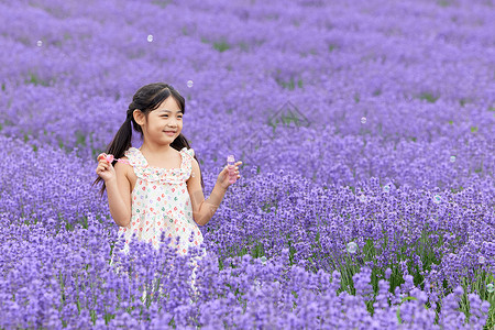 薰衣草花田玩耍的小女孩图片