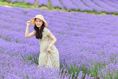 紫色长裙薰衣草花田观光的长裙女性背景