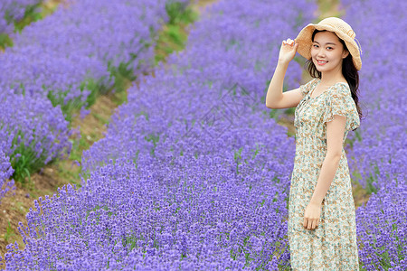 薰衣草花田里散步的美女图片