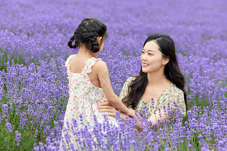 母女在薰衣草花田游玩图片