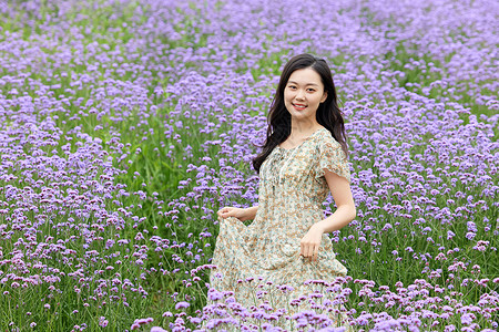 紫色长裙薰衣草花田里的碎花长裙女性背景