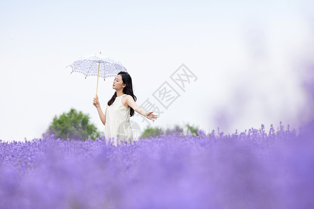 女性撑伞走在薰衣草花田高清图片
