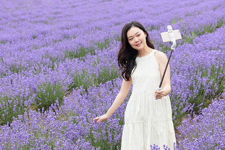 夏季直播在薰衣草花园直播的女性背景