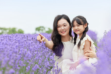 在薰衣草花田观赏的母女高清图片