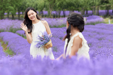 薰衣草花田中母女打招呼图片